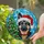 Black Tan Dog Santa Hat Christmas Tree - Icy Blue Mosaic Holiday Gift for Dog Lovers Stained Glass Suncatcher - 2