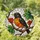 Tiffany Stained Glass American Robin Bird on Branch with Berries - Nature Art Decor Stained Glass Suncatcher - 1