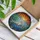 Seal Pup Mosaic Stained Glass Sun Seaweed Aquatic Plant Window Decoration Stained Glass Suncatcher - 3