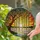 Weeping Willow Tree Stained Glass Sunset Water Landscape Tiffany Style Home Decor Stained Glass Suncatcher - 2
