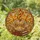 Tiffany Style Stained Glass Teacup Maple Leaves Old Books Autumn Fall Decor Gift Stained Glass Suncatcher - 1