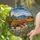 Desert Lizard Saguaro Cactus Prickly Pear Tiffany Style Stained Glass Landscape Stained Glass Suncatcher - 2
