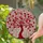 Intricate Tiffany Stained Glass Red Pink Heart Leaves Tree Cream Mosaic - Valentine Home Decor Gift Stained Glass Suncatcher - 2