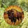 American Bison Horns Prairie Landscape Stained Glass - Tiffany Sunset Jewel Tones Stained Glass Suncatcher - 1
