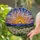Radiant Sun Daisy Field Stained Glass Tiffany Style Mountain Horizon Art Jewel Tones Stained Glass Suncatcher - 2