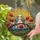 Gazing Blue White Birds Red Poppies Radiant Sun Mosaic Tiffany Stained Glass Stained Glass Suncatcher - 2