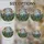Stained Glass Bare Trees Pine Forest Wildflowers Sun - Mountain Sky Scene Gift Stained Glass Suncatcher - 4