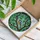 Great Tit Bird Stained Glass Tiffany Style - Perched Branch Green Leaves Mosaic Sky Stained Glass Suncatcher - 3