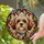 Intricate Fluffy Shih Tzu Dog Head Stained Glass Mosaic - Tiffany Style Dog Lover Gift Stained Glass Suncatcher - 2