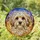Fluffy Small Dog Portrait Tiffany Stained Glass Intricate Mosaic - Pet Lover Gift Stained Glass Suncatcher - 1