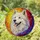 Wide Smile Samoyed Dog Stained Glass - Tiffany Jewel Tone Swirling Mosaic Pet Gift Stained Glass Suncatcher - 1