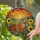 Curious Domestic Striped Cat Meadow Sunflowers Wildflowers Sunset Mountains Home Decor Stained Glass Suncatcher - 2