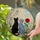 Black & Blue-Grey Cats Tiffany Stained Glass Art with Daisies, Rose & Sun - Home Decor Stained Glass Suncatcher - 2