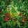 Vivid Green Parrot Tiffany Stained Glass Tropical Jungle Foliage Window Art Decor Stained Glass Suncatcher - 5