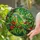 Vivid Green Parrot Tiffany Stained Glass Tropical Jungle Foliage Window Art Decor Stained Glass Suncatcher - 2