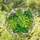 Monstera Deliciosa Stained Glass Art - Intricate Tropical Plant Tiffany Style Window Stained Glass Suncatcher - 1