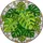 Monstera Deliciosa Stained Glass Art - Intricate Tropical Plant Tiffany Style Window Stained Glass Suncatcher - 5