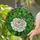 Detailed Green Grasshopper on White Camellia Flower - Tiffany Stained Glass Art Stained Glass Suncatcher - 2