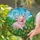 Joyful Pink Pig Tiffany Stained Glass Art Daisies & Lush Green Grass Field Decor Stained Glass Suncatcher - 2