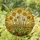 Tiffany Glass Art Yellow Botanical Flowers - Sun Drenched Sky Rolling Hills Landscape Stained Glass Suncatcher - 1