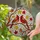 Red Cardinal Pair Autumn Leaves - Tiffany Style Stained Glass Window Decoration Stained Glass Suncatcher - 2