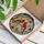 Red Cardinal Pair Autumn Leaves - Tiffany Style Stained Glass Window Decoration Stained Glass Suncatcher - 3