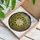 Tiffany Style Stained Glass Sunflower Wreath Mosaic Dappled Light Nature Leaves Stained Glass Suncatcher - 3