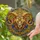Stylized Ram Head Stained Glass Art - Tiffany Style Jewel Tones Celestial Geometric Mosaic Stained Glass Suncatcher - 2