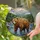 Grizzly Bear Tiffany Stained Glass - Mountain River Forest Wildlife Water Scene Decor Stained Glass Suncatcher - 2