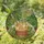 Sleeping Orange Tabby Cat Monstera Leaves Tiffany Stained Glass Intricate Garden Foliage Stained Glass Suncatcher - 1