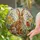 Stained Glass Rabbit Wildflowers Daisy Bellflower Mosaic - Tiffany Style Floral Art Stained Glass Suncatcher - 2