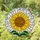 Tiffany Glass Sunflower Seed Head Mosaic - Radiant Petals, Sky, Emerald Green Leaves Stained Glass Suncatcher - 1