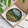 Rustic Cabin Stained Glass Landscape Art - Bamboo Golden Crops Forest Hills Tiffany Style Stained Glass Suncatcher - 3