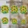 Tiffany Stained Glass Five Sunflowers, Lush Leaves, Textured Mosaic, Frosted Sky Art Stained Glass Suncatcher - 4