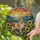 Tiffany Stained Glass Calico Cat Sunflowers Lavender Sunset Mountain Art - Cat Lover Gift Stained Glass Suncatcher - 2