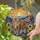 Maine Coon Cat Sunflowers Mountains Sunset Colorful Tiffany Stained Glass Art Decor Stained Glass Suncatcher - 2