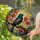 Red-winged Blackbird Stained Glass with Autumn Maple Leaves - Tiffany Style Bird Lover Gift Stained Glass Suncatcher - 2