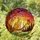 Golden Cat Stained Glass Suncatcher with Butterfly, Autumn Leaves, Sunset Sky Evergreen Trees - 1