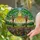 Tiffany Style Stained Glass Two Trees Sun Landscape Wildflower Hills Intricate Art Stained Glass Suncatcher - 2