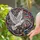 White Dove Stained Glass Tiffany Style Jewel Tone Mosaic Art - Intricate Home Decor Stained Glass Suncatcher - 2