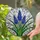 Tiffany Stained Glass Grape Hyacinth Flowers - Intricate Blue Bell Florets & Green Leaves Stained Glass Suncatcher - 2