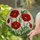 Red Poppy Flowers Stained Glass Tiffany Art with Green Leaves Buds & Cream Yellow Mosaic Stained Glass Suncatcher - 2