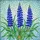 Blue Lupine Flowers Stained Glass Mosaic Art - Translucent Tiffany Style Decor Gift Stained Glass Suncatcher - 5