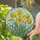 Tiffany Style Stained Glass Yellow Daffodil Mosaic Art - Intricate Jewel Tone Window Decor Stained Glass Suncatcher - 2