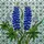 Blue Lupine Flowers Stained Glass Tiffany Style Mosaic Art - Botanical Jewel Tones Stained Glass Suncatcher - 5