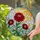Vibrant Stained Glass Zinnia Flowers - Tiffany Style Sun Rays Sky & Leafy Greens Art Stained Glass Suncatcher - 2