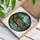 Raccoon Baby Forest Waterfall Tiffany Stained Glass Art - Nature Wildlife Home Decor Stained Glass Suncatcher - 3