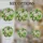 White-Green Flowers Emerald Leaves Deep Brown Branches Tiffany Stained Glass Aqua Mosaic Stained Glass Suncatcher - 4