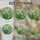 Translucent Stained Glass Emerald Green Sword Leaves Spiky Flower Buds Tiffany Art Stained Glass Suncatcher - 4