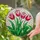 Tiffany Stained Glass Red Pink Tulips - Mosaic Background Floral Window Art Decor Stained Glass Suncatcher - 2